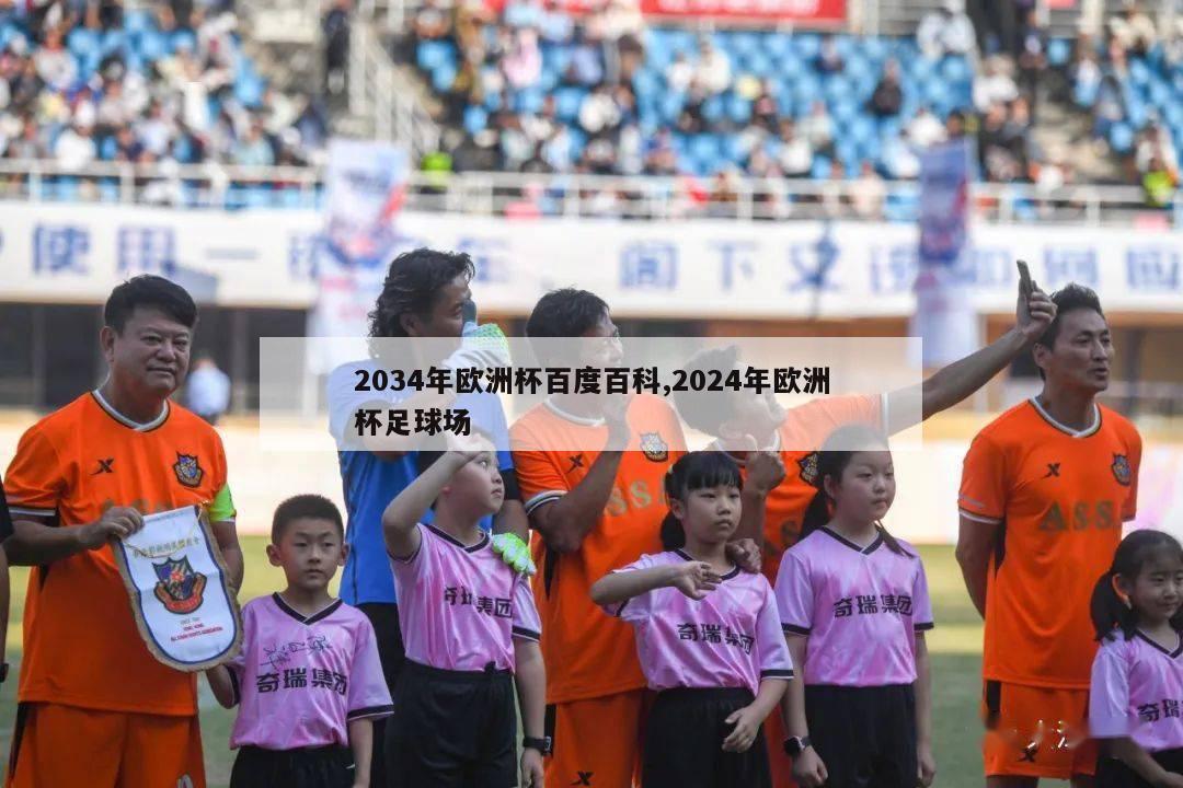 2034年欧洲杯百度百科,2024年欧洲杯足球场